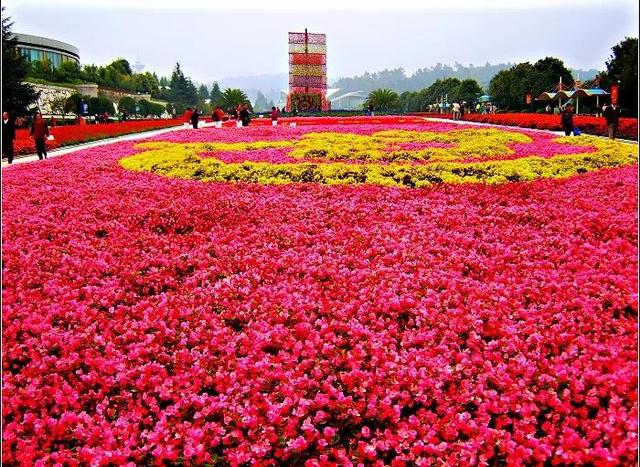 大家推薦一些，比較不錯的旅游圣地吧。個(gè)人更偏好自然景觀(guān)？