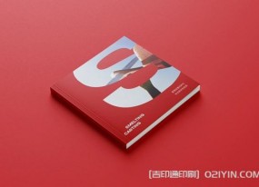 外企業(yè)畫(huà)冊設計印刷