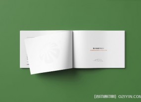 上海企業(yè)畫(huà)冊印刷對于畫(huà)冊尺寸有何要求？