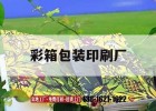 彩箱包裝印刷廠(chǎng)｜彩箱包裝印刷公司