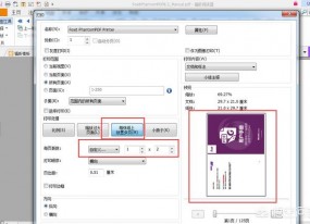 如何把兩頁(yè)PDF顯示在一頁(yè)上面，謝謝？